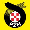 Logo - PZMot